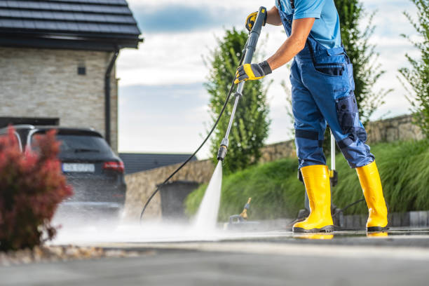 Best Soft Washing for Delicate Surfaces in Alb, IA